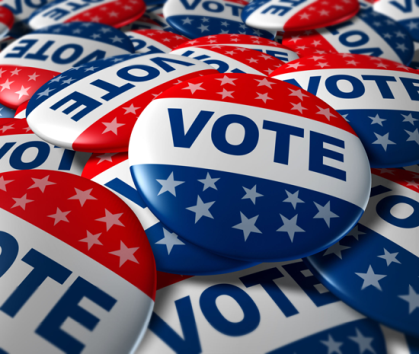 Political Digital Campaigns in America | Lisa Chapman Consulting