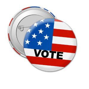 Vote political digital marketing campaign Lisa Chapman Consultant lisachapman.com